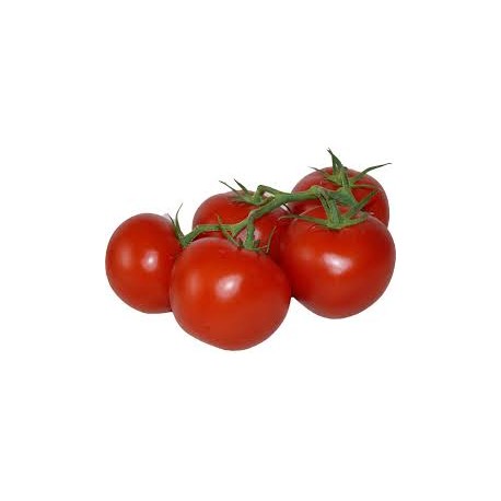 Les Tomates Grappes
