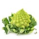 Le Chou Romanesco