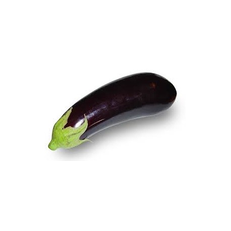 L'Aubergine