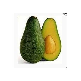 Avocats gros 