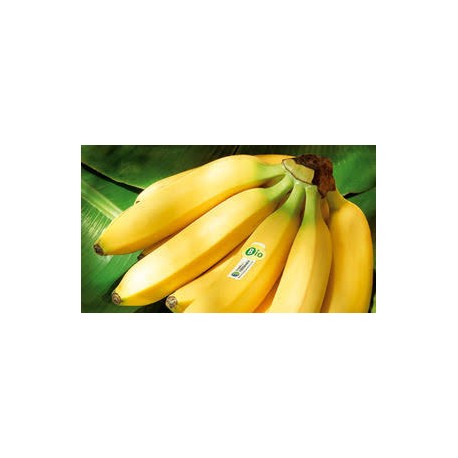 la bananes BIO