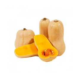 Butternut