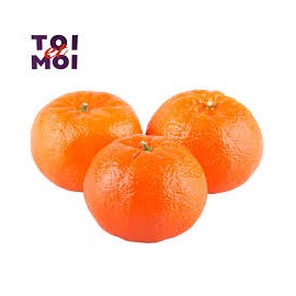 Mandarine  (Gros calibre) (La pièce)