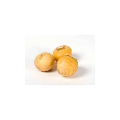 Navet boule d'or (La pièce)