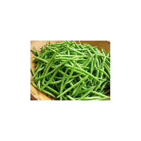 les haricots verts (les 100gr)