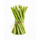 Asperge Botte Verte  ESP