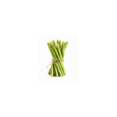 Asperge Botte Verte  ESP