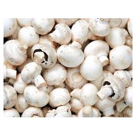 Les Champignons de Paris Blanc  (les 500grs)