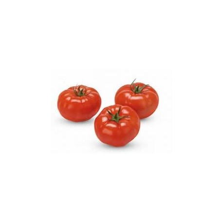 La tomate à farcir (les 500grs)
