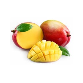 Mangue