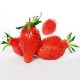 Fraise Gariguette