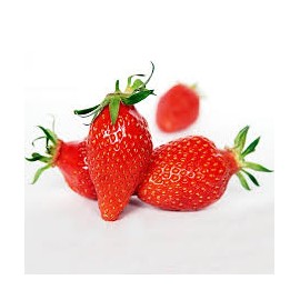 Fraise belgique  500 gr  (la barquette)