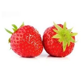 Fraise Mara des bois