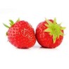Fraise Mara des bois 250 gr (la barquette)